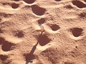 Wadi Rum (12)